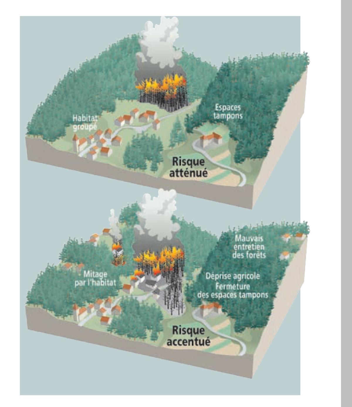 => Maîtrise ou non du risque feu de forêt dans les interfaces habitat / forêt (source © MEDD / DPPR)