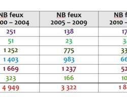 Près de 16 000 feux de forêt ont été recensés en PACA sur la période 2000 - 2024. La majorité d'entre eux concerne les départements littoraux. La répartition par période est assez aléatoire avec près de 5 000 feux comptabilisés entre 2000 et 2004, plus de 3 000 entre 2020 et 2024 ainsi que près de 2 600 entre 2015 et 2019.
