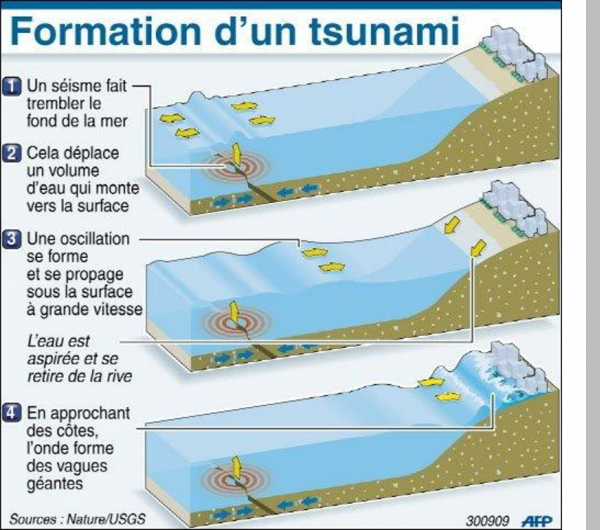 Formation d'un tsunami d'origine sismique © Nature/USGS