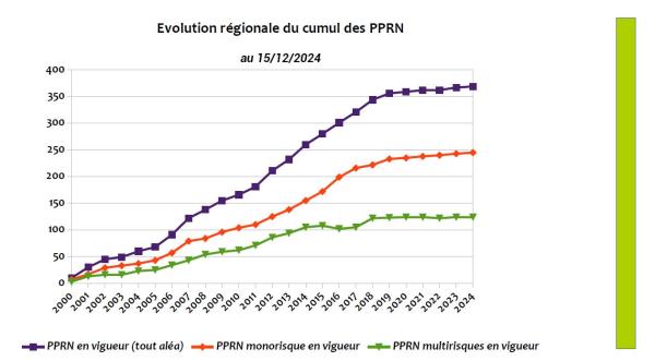On observe en tout premier lieu une augmentation constante du nombre de PPRN en vigueur sur le territoire régional depuis 2000 et une stabilisation depuis 2016. Sur la région, 368 PPRN ont été rendus opposables en 25 ans, ce qui fait une moyenne annuelle de 15  PPRN.  Pour information, 61 PPRN ont été approuvés avant 2000 dont 30 pour le seul département des Bouches-du-Rhône.