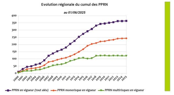 On observe en tout premier lieu une augmentation constante du nombre de PPRN en vigueur sur le territoire régional depuis 2000 et une stabilisation depuis 2016. Sur la région, 364 PPRN ont été rendus opposables en 25 ans, ce qui fait une moyenne annuelle de 15  PPRN.  Pour information, 61 PPRN ont été approuvés avant 2000 dont 30 pour le seul département des Bouches-du-Rhône.